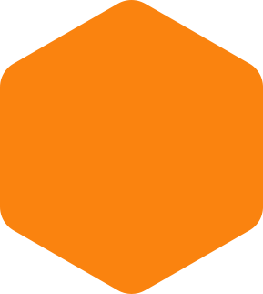 https://groupmgenergy-palaiseau-isolation.com/wp-content/uploads/2020/09/hexagon-orange-large.png